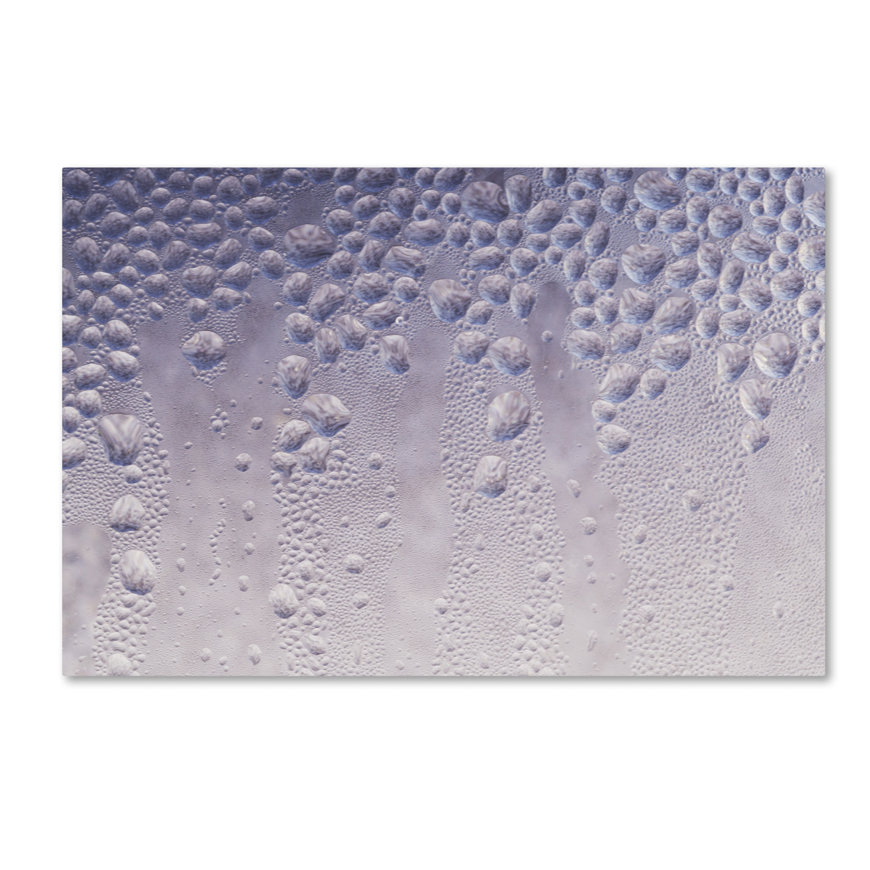 Kurt Shaffer 'Droplets Abstract On My Window' Canvas Art 16 X 24
