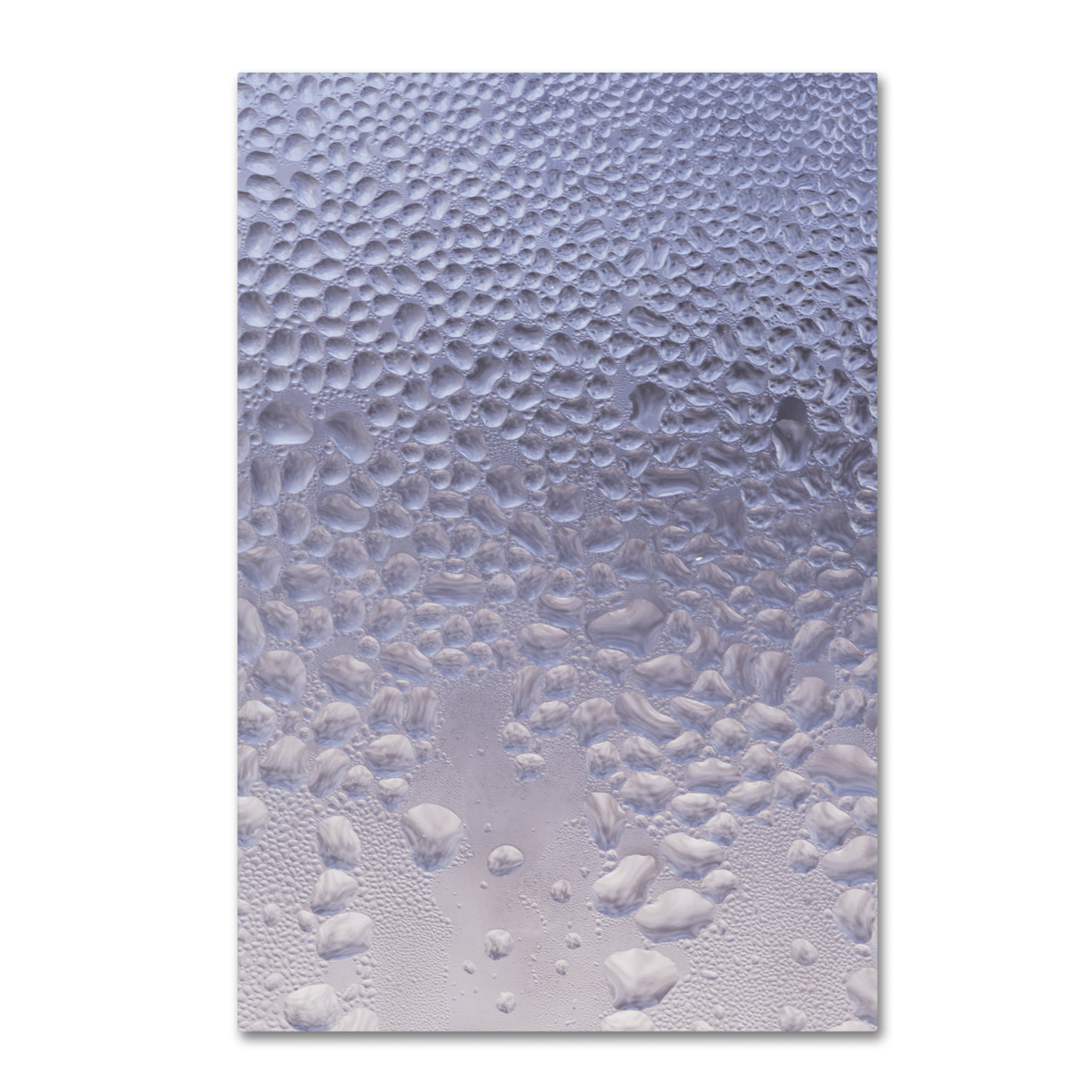 Kurt Shaffer 'Condensation On A Cold Window' Canvas Art 16 X 24