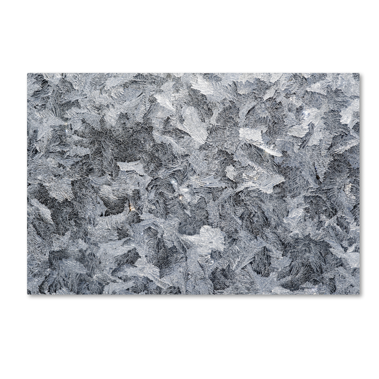 Kurt Shaffer 'Frost Mosaic' Canvas Art 16 X 24
