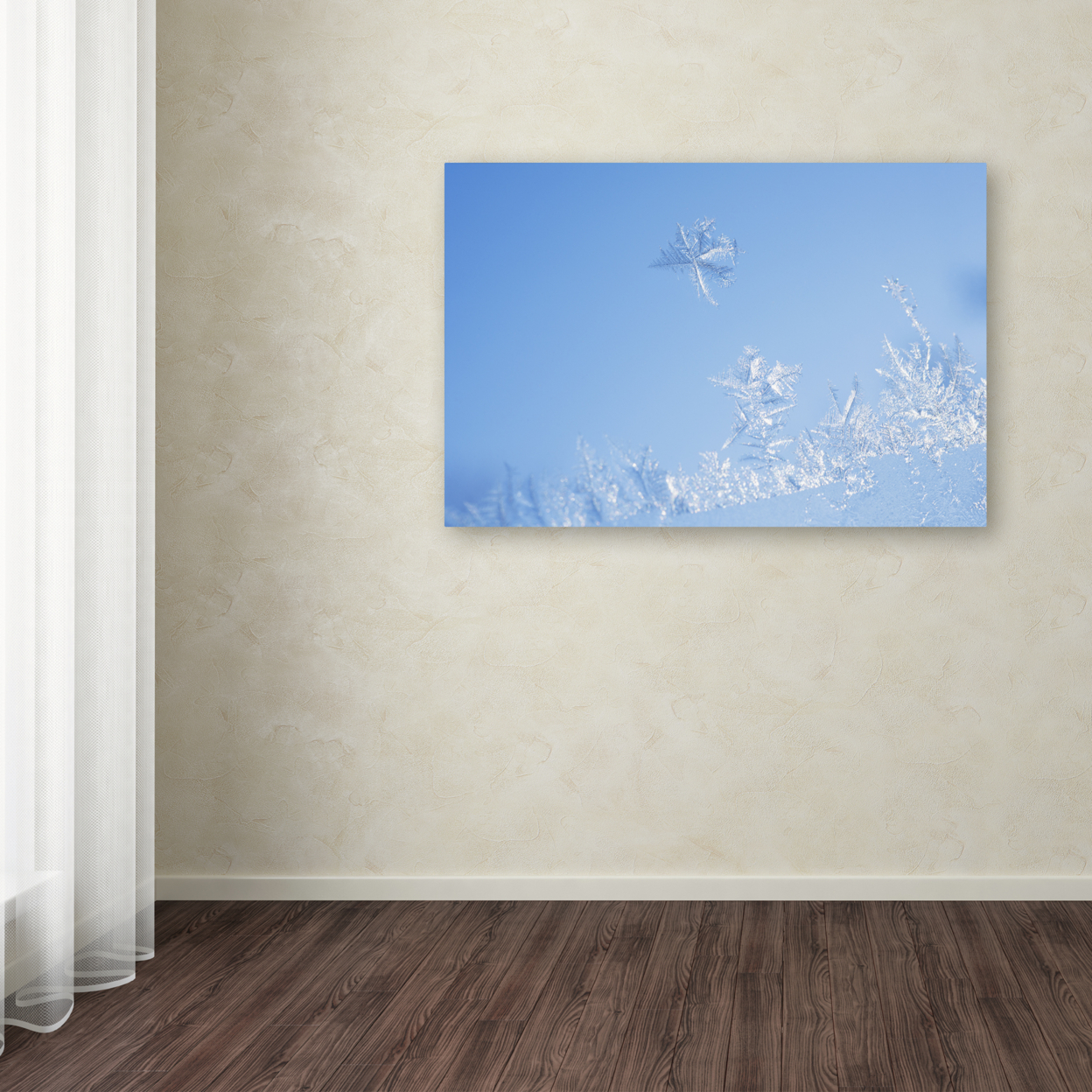 Kurt Shaffer 'Window Frost' Canvas Art 16 X 24