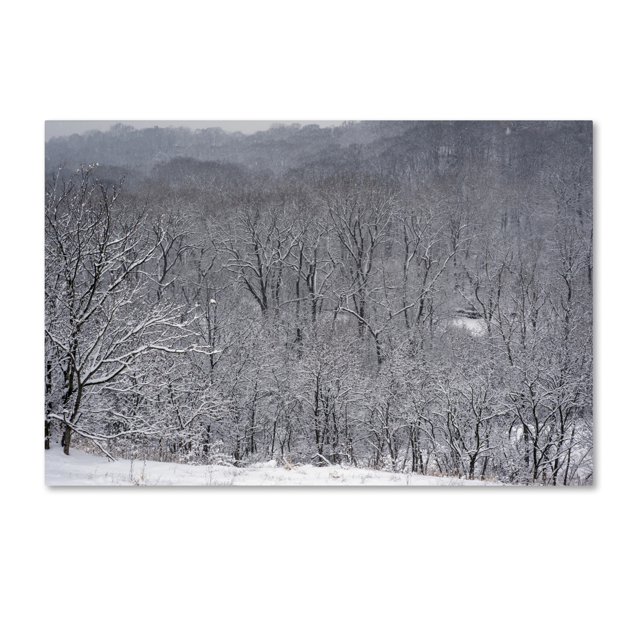 Kurt Shaffer 'Quiet Heavy Snowfall' Canvas Art 16 X 24
