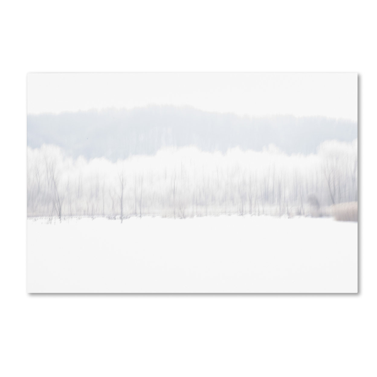 Kurt Shaffer 'Abstract Winter Beaver Marsh' Canvas Art 16 X 24