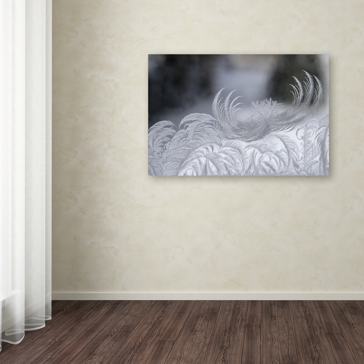 Kurt Shaffer 'February Window Frost' Canvas Art 16 X 24