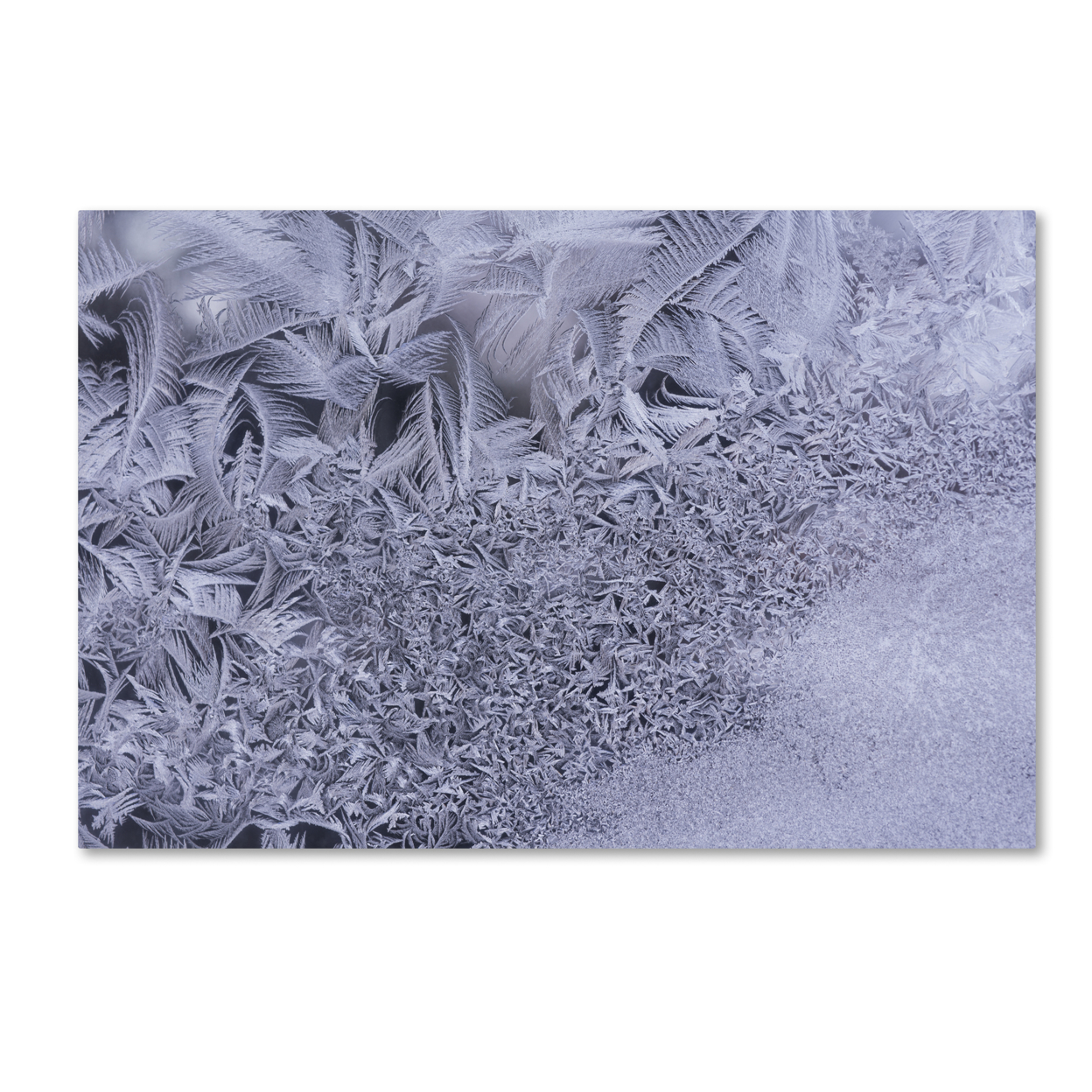 Kurt Shaffer 'Gradation Of Frost On A Window' Canvas Art 16 X 24
