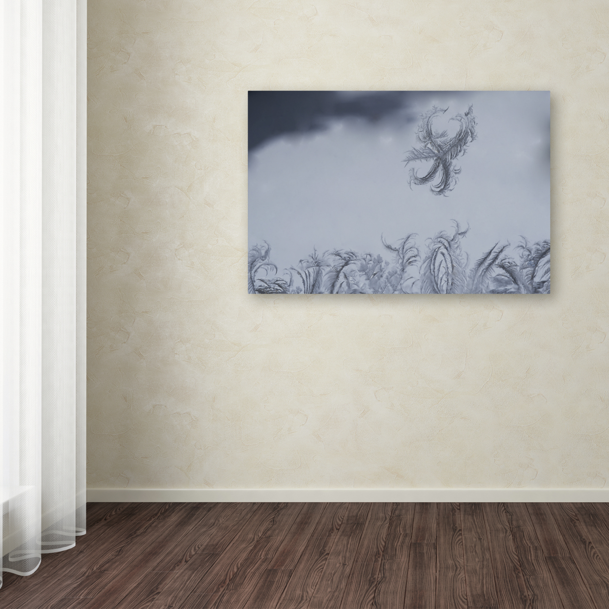Kurt Shaffer 'Frost Fairy On A Window' Canvas Art 16 X 24