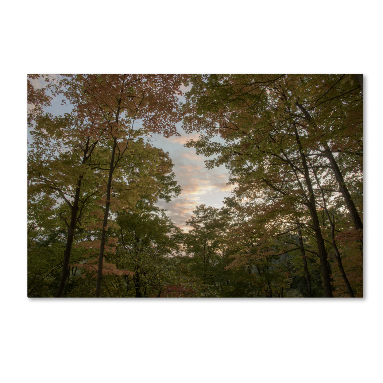Kurt Shaffer 'Autumn Window To A Sunset' Canvas Art 16 X 24