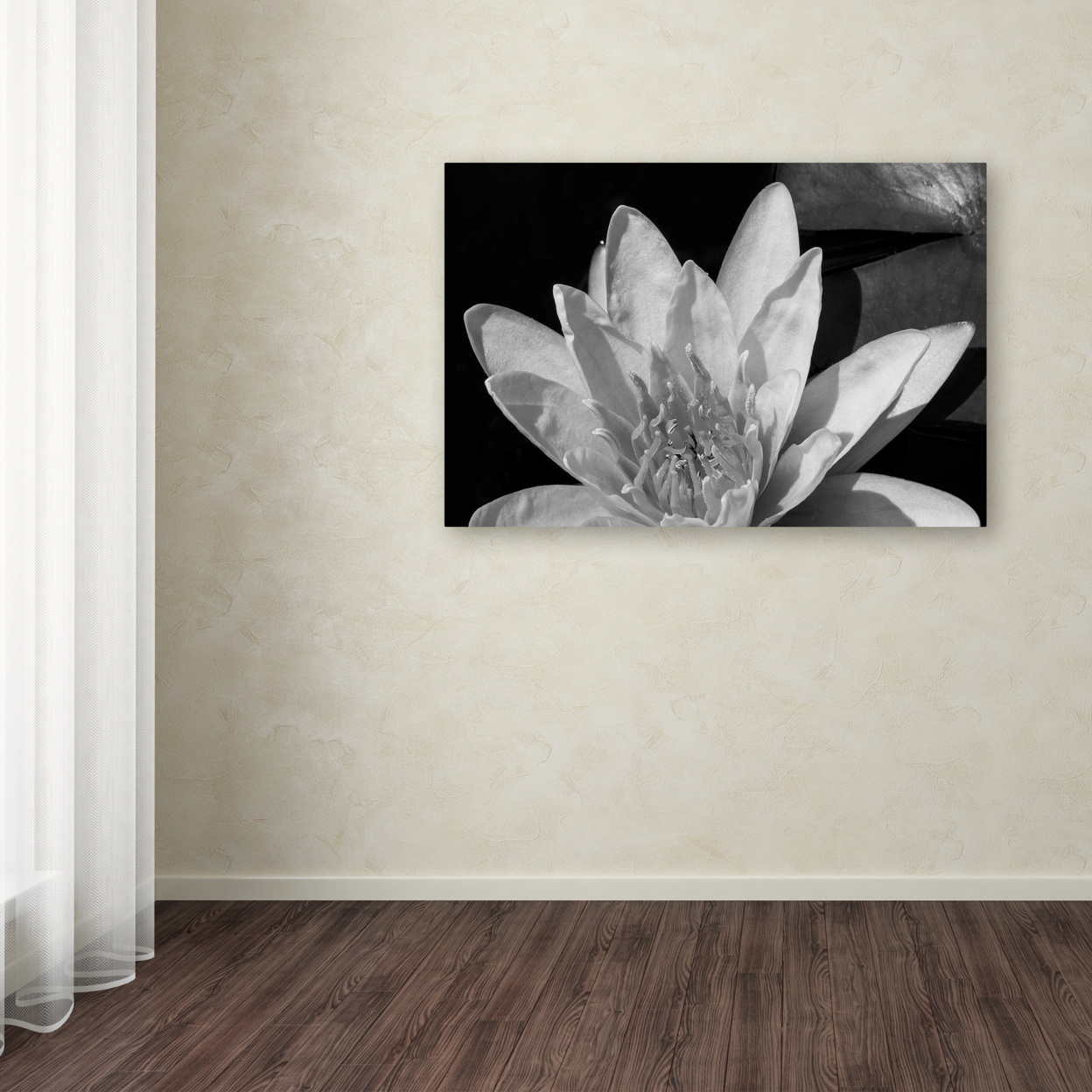 Kurt Shaffer 'Water Lily In Black And White' Canvas Art 16 X 24