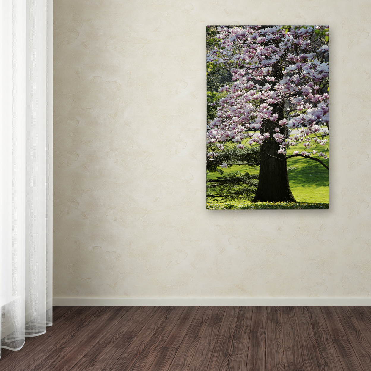 Kurt Shaffer 'Spring Magnolia' Canvas Art 16 X 24