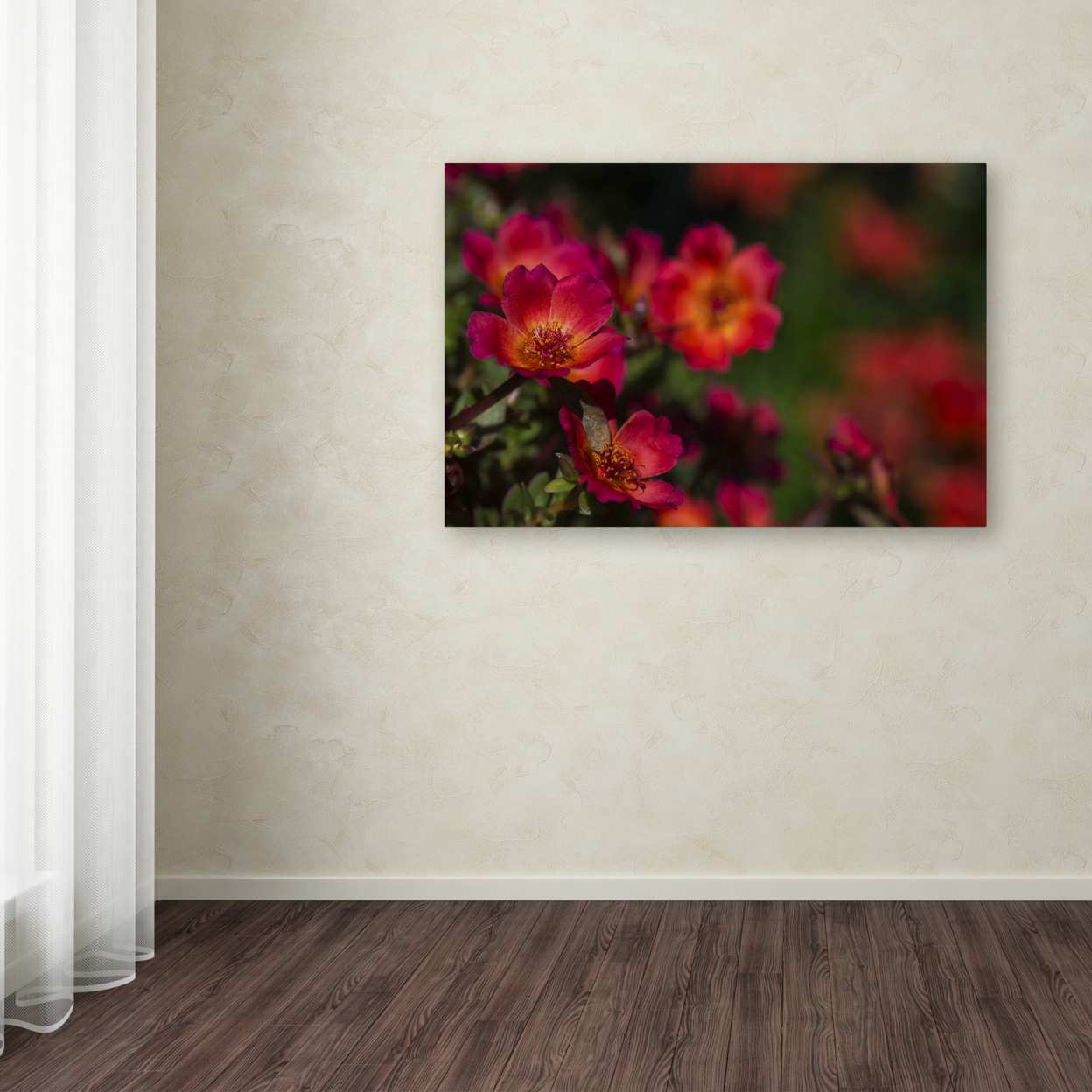 Kurt Shaffer 'Beauty Of Summer Blooms Red' Canvas Art 16 X 24