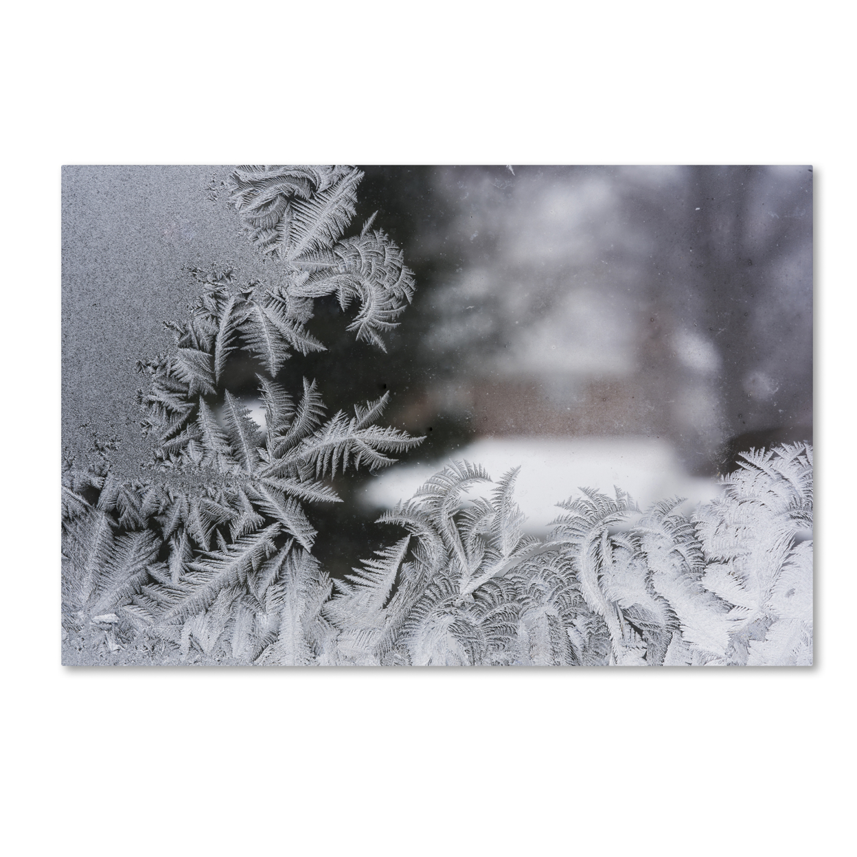 Kurt Shaffer 'Frost On My Window IV' Canvas Art 16 X 24