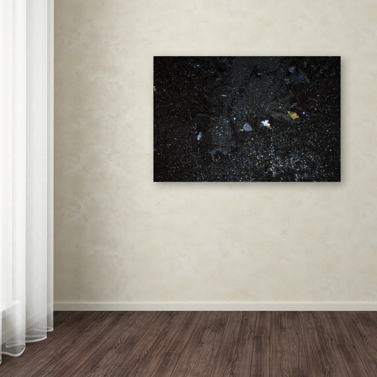 Kurt Shaffer 'Galaxy In My Window' Canvas Art 16 X 24