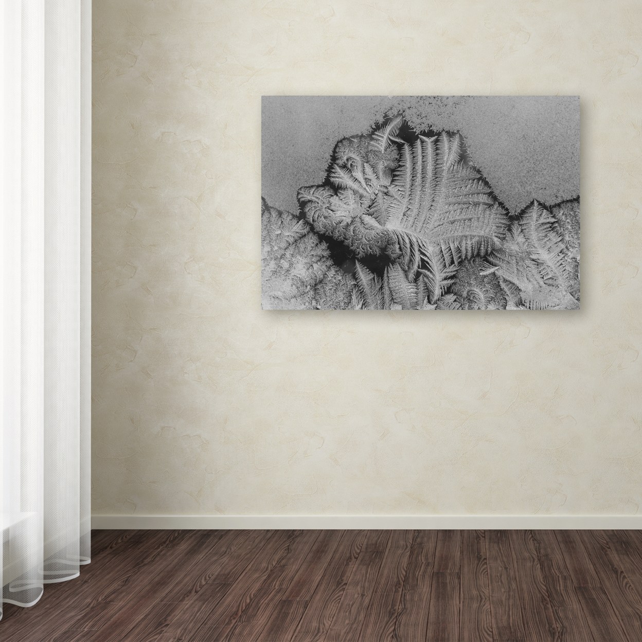 Kurt Shaffer 'Window Frost Pattern 3' Canvas Art 16 X 24