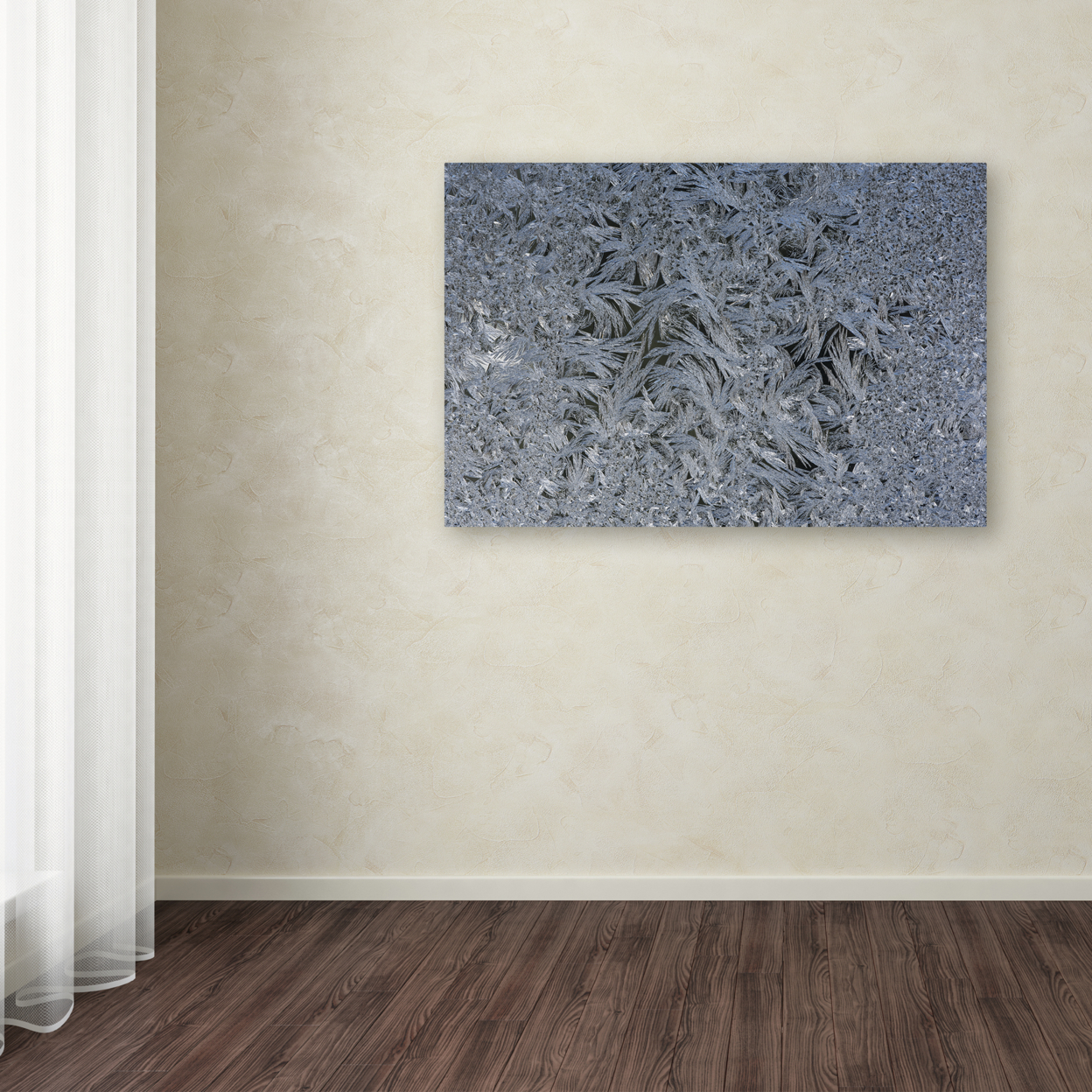 Kurt Shaffer 'Window Frosting' Canvas Art 16 X 24