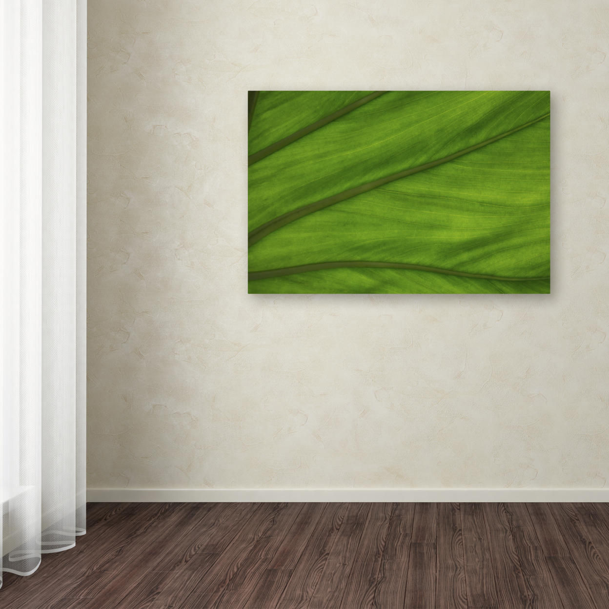 Kurt Shaffer 'Green Elephant Ear Leaf Abstract' Canvas Art 16 X 24