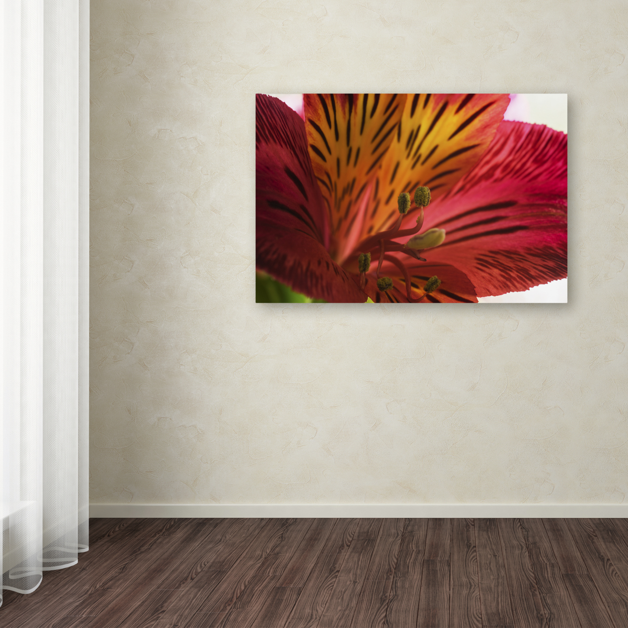 Kurt Shaffer 'Red Tiger Ostramerium Flower' Canvas Art 16 X 24