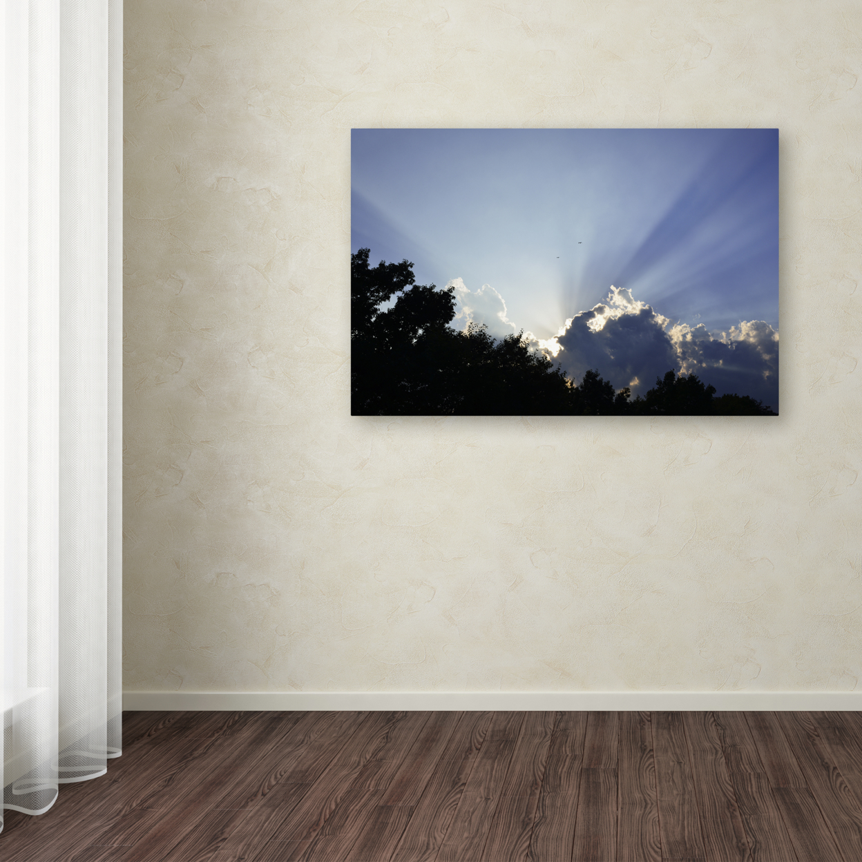 Kurt Shaffer 'Inspirational Sky' Canvas Art 16 X 24
