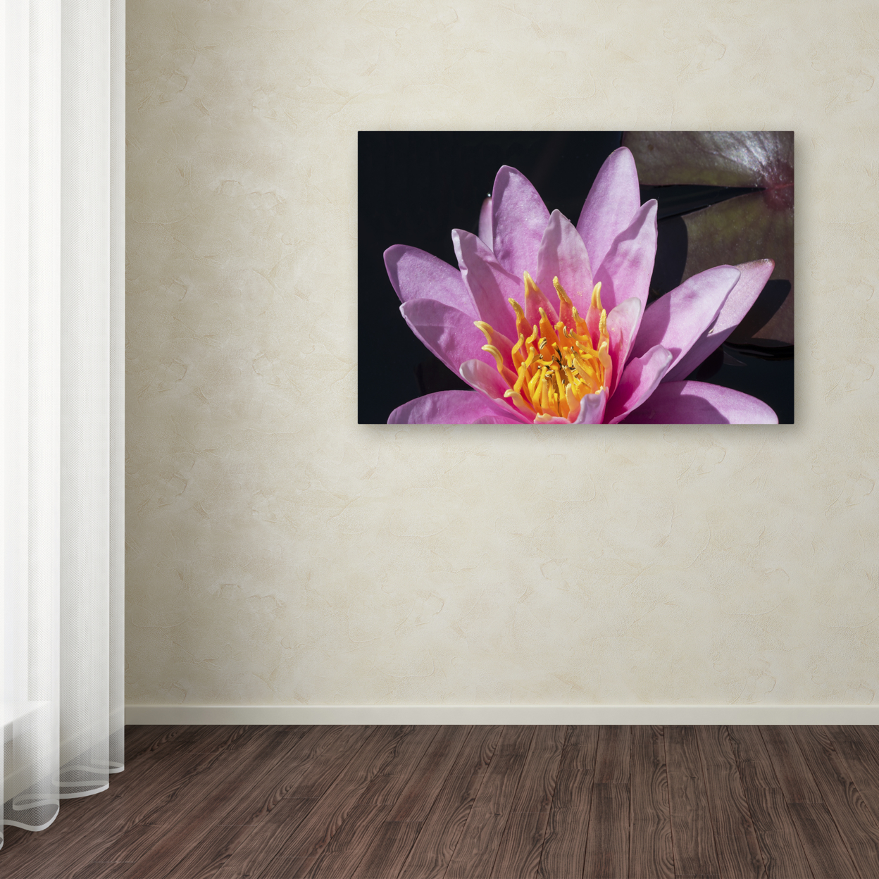 Kurt Shaffer 'Pink Lotus' Canvas Art 16 X 24