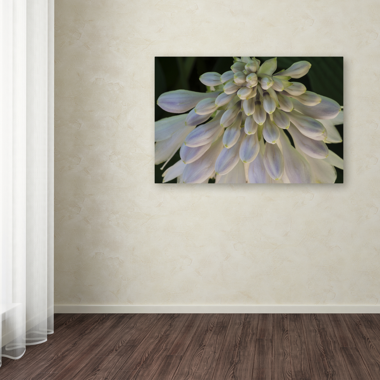 Kurt Shaffer 'Hosta Flower Abstract' Canvas Art 16 X 24