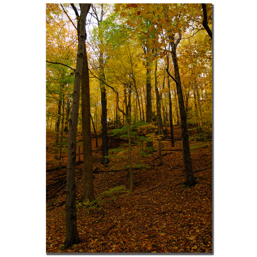 Kurt Shaffer 'Ohio Autumn' Canvas Art 16 X 24