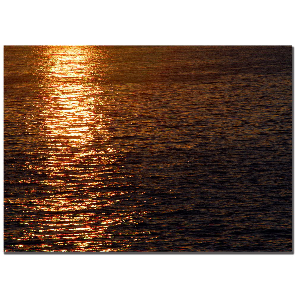 Kurt Shaffer 'Sunset Reflections' Canvas Art 16 X 24
