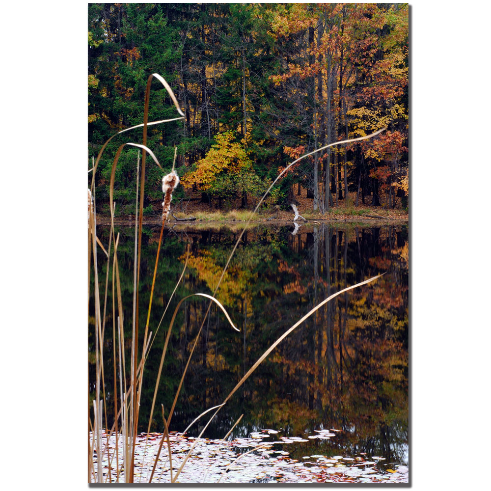 Kurt Shaffer 'Serene Sylvan Pond' Canvas Art 16 X 24