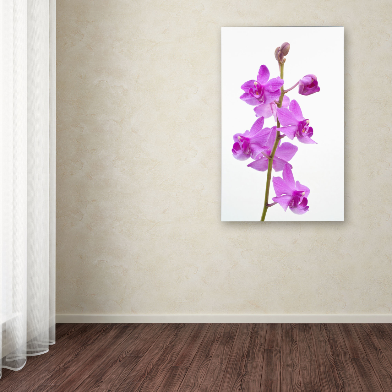 Kurt Shaffer 'Purple Orchids' Canvas Art 16 X 24