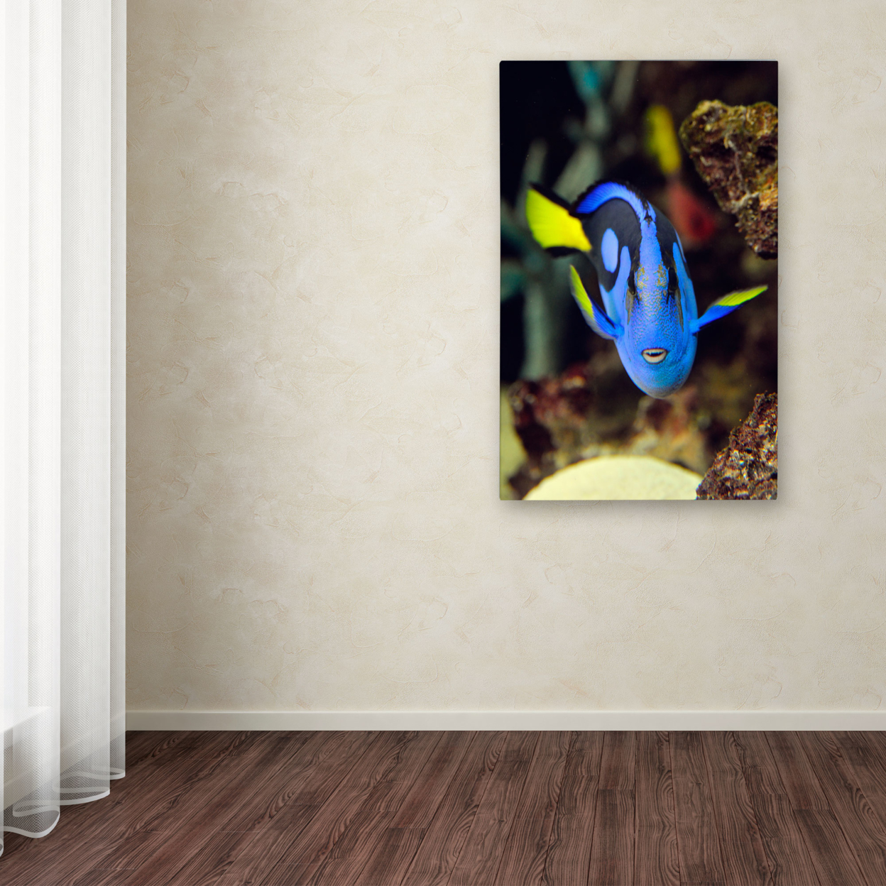 Kurt Shaffer 'Parrot Fish' Canvas Art 16 X 24