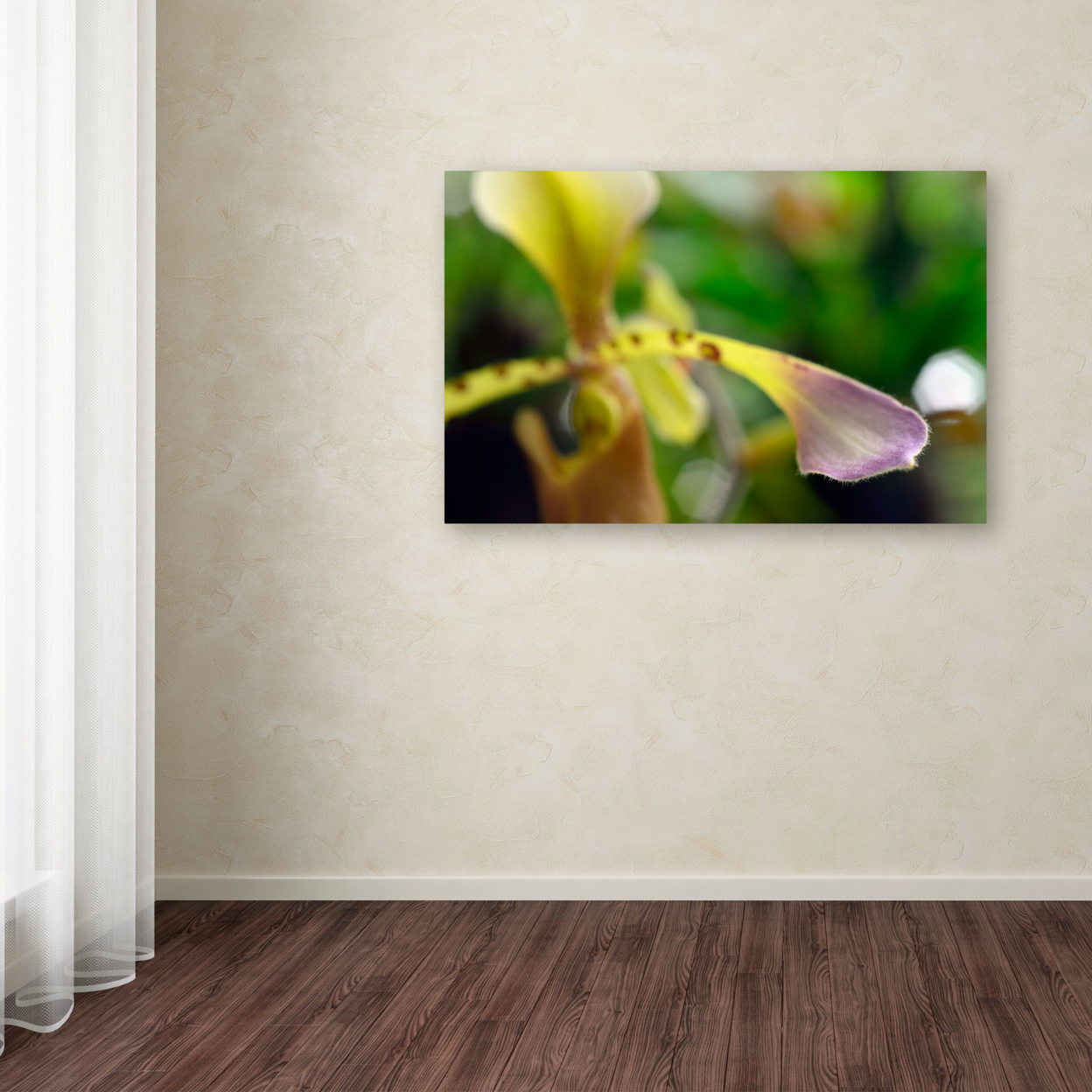 Kurt Shaffer 'To Touch An Orchid' Canvas Art 16 X 24