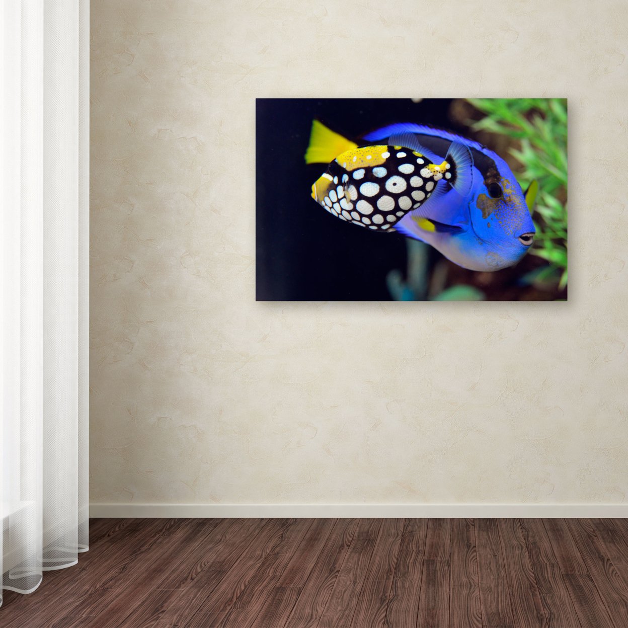 Kurt Shaffer 'Colorful Tropical Fish' Canvas Art 16 X 24
