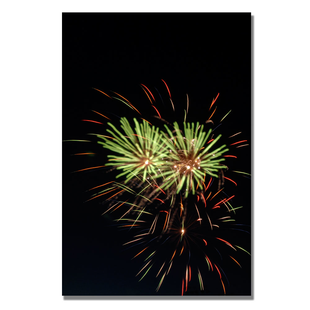 Kurt Shaffer 'Abstract Fireworks 35' Canvas Art 16 X 24