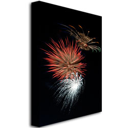 Kurt Shaffer 'Abstract Fireworks 36' Canvas Art 16 X 24