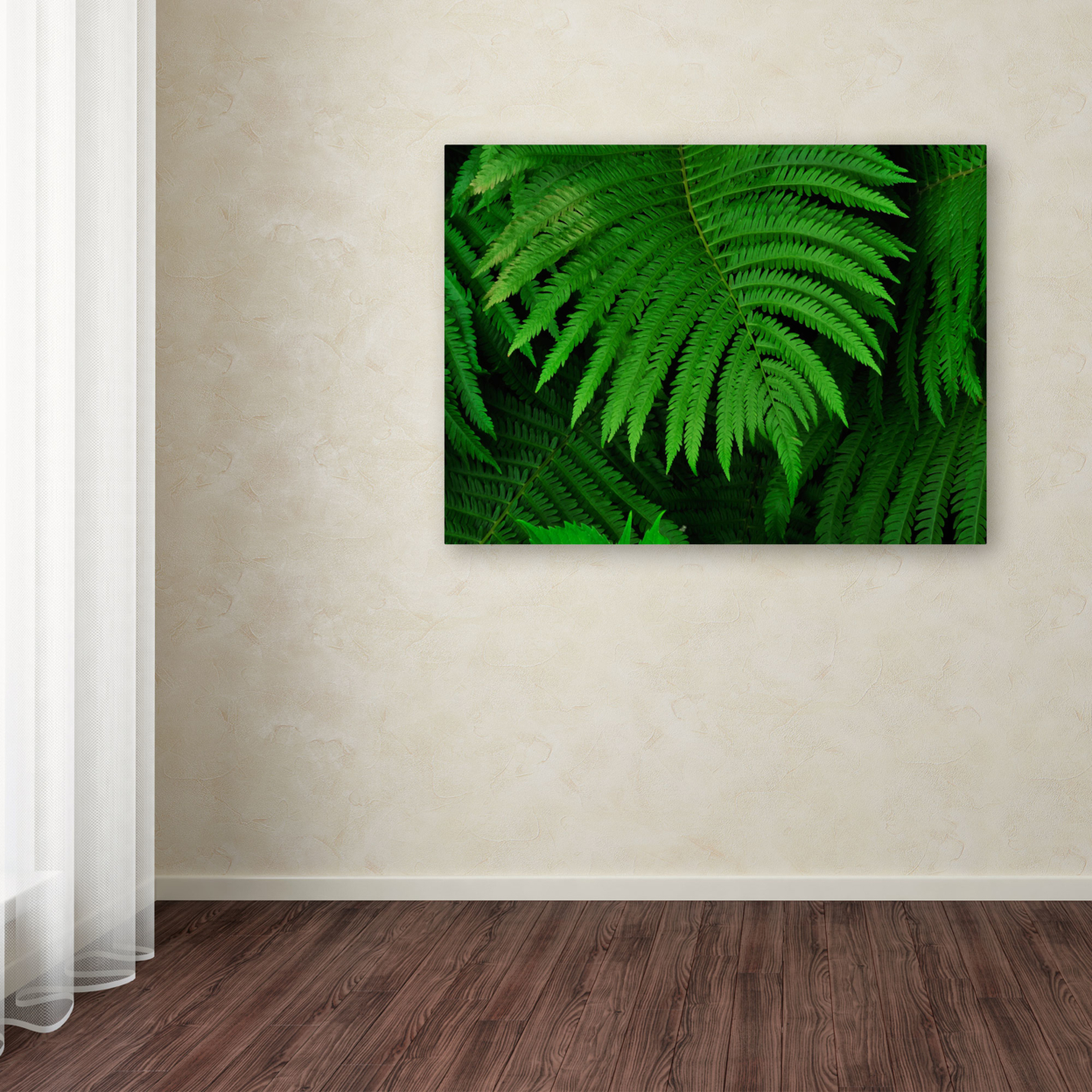 Kurt Shaffer 'Healing Ferns' Canvas Art 16 X 24