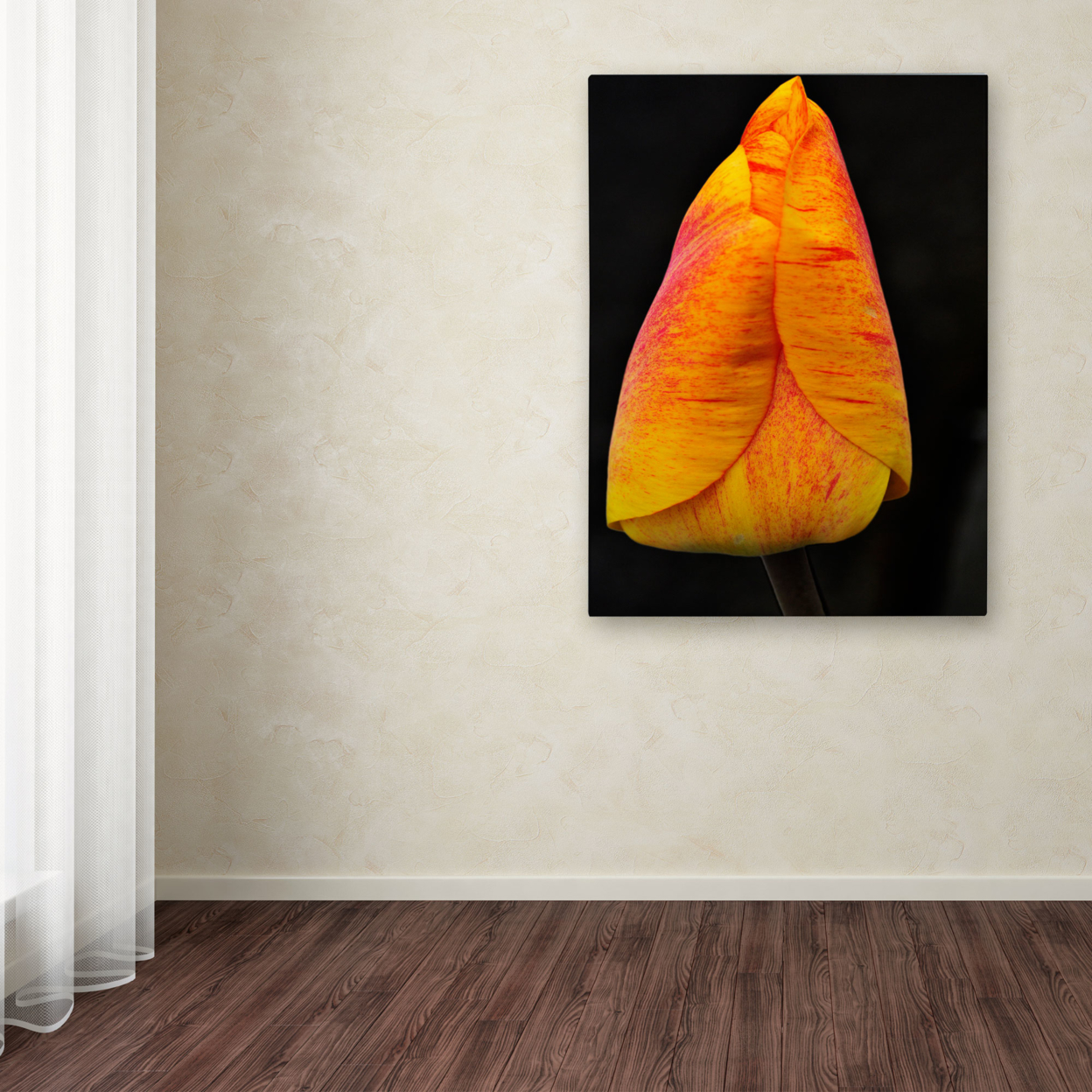 Kurt Shaffer 'Perfect Red And Yellow Tulip' Canvas Art 16 X 24