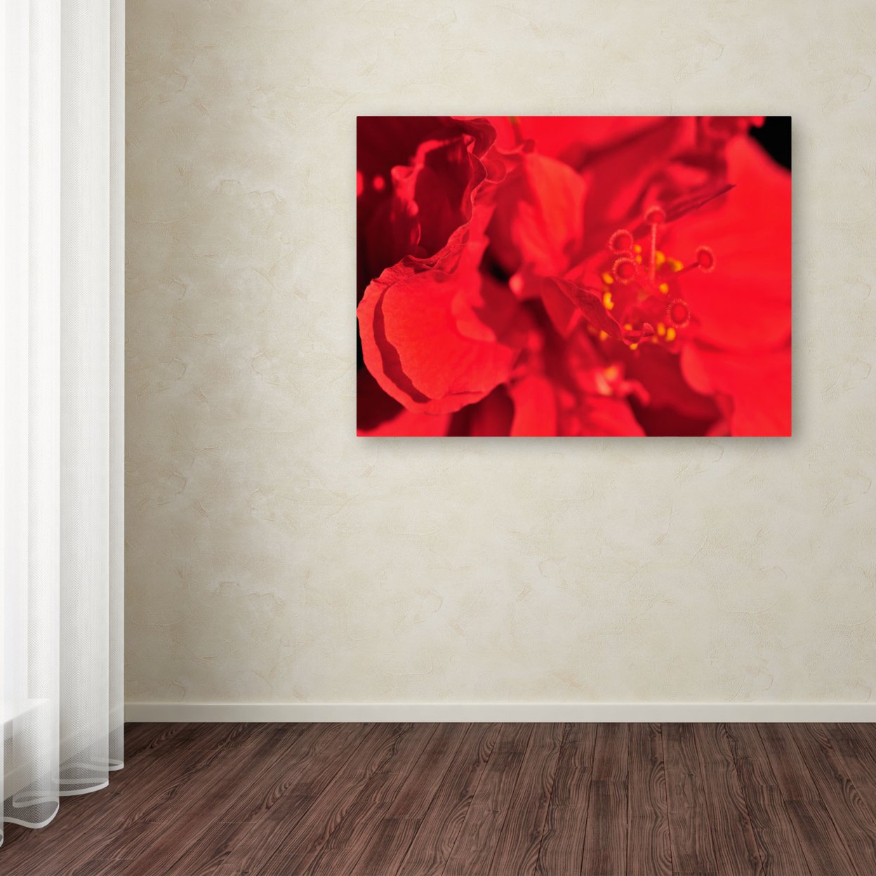 Kurt Shaffer 'Red Red Hibiscus' Canvas Art 16 X 24