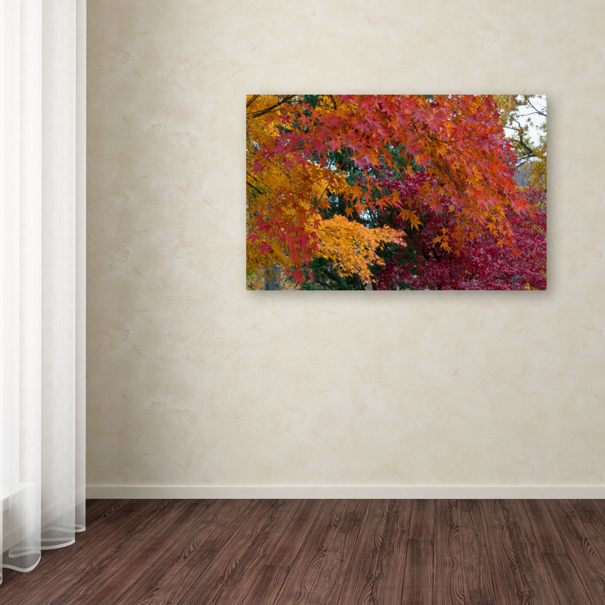 Kurt Shaffer 'Autumn Explosion' Canvas Art 16 X 24