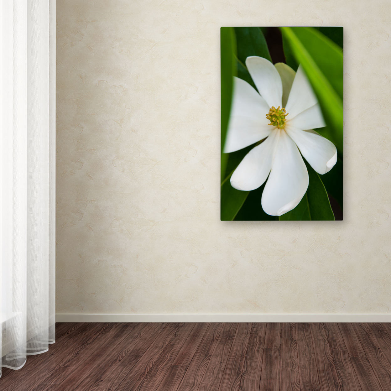 Kurt Shaffer 'Magnolia' Canvas Art 16 X 24