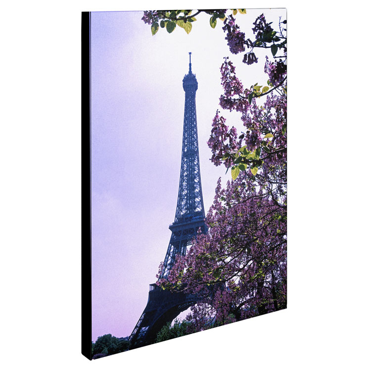 Kathy Yates 'Eiffel Tower With Blossoms' Canvas Art 16 X 24