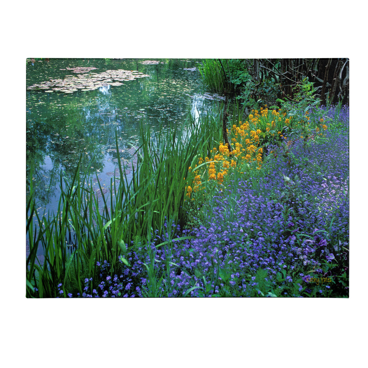 Kathy Yates 'Monet's Lily Pond' Canvas Art 16 X 24