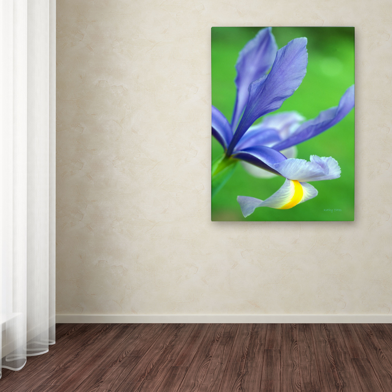 Kathy Yates 'Spring Iris' Canvas Art 16 X 24