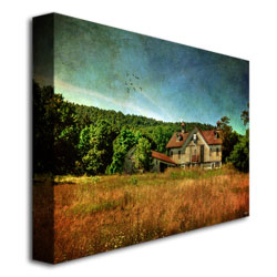 Lois Bryan 'Old Barn In Golden Afternoon Light' Canvas Art 16 X 24