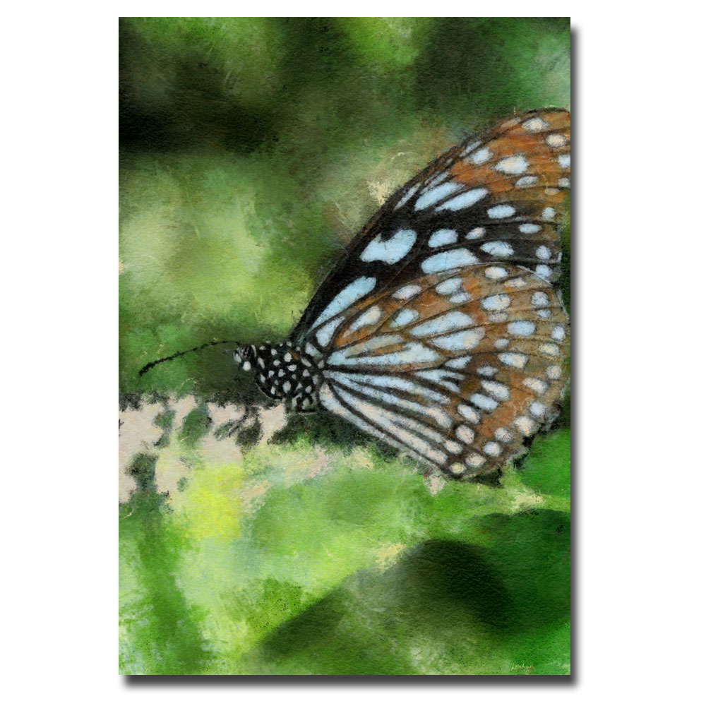 Lois Bryan 'Butterfly In Blue' Canvas Art 16 X 24