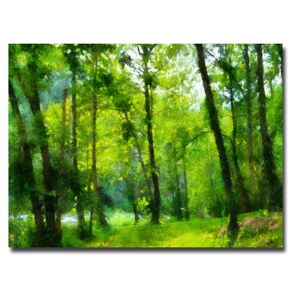 Lois Bryan 'Forest Walk In Spring' Canvas Art 16 X 24