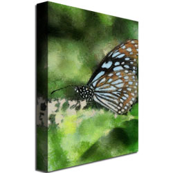Lois Bryan 'Butterfly In Blue' Canvas Art 16 X 24