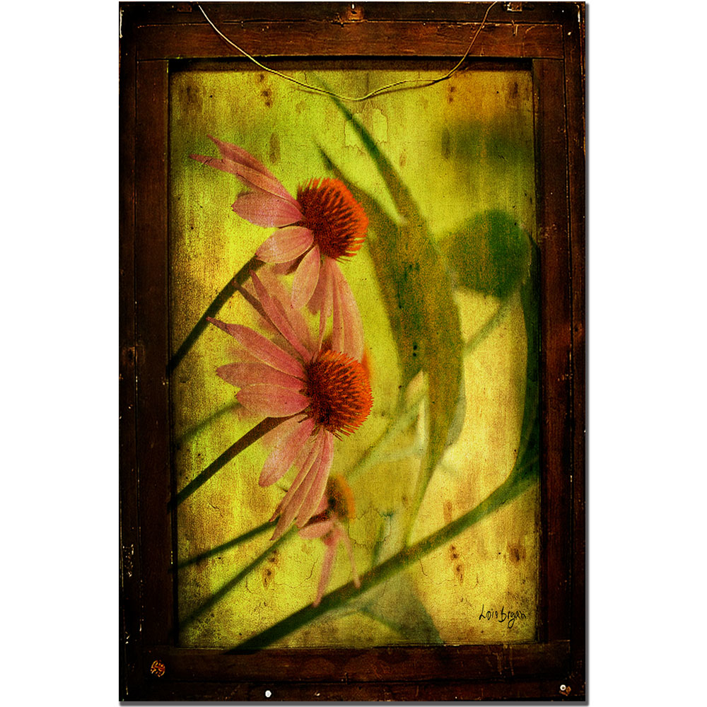 Antiqued Cone Flowers By Lois Bryan 16x24 Canvas Art 16 X 24