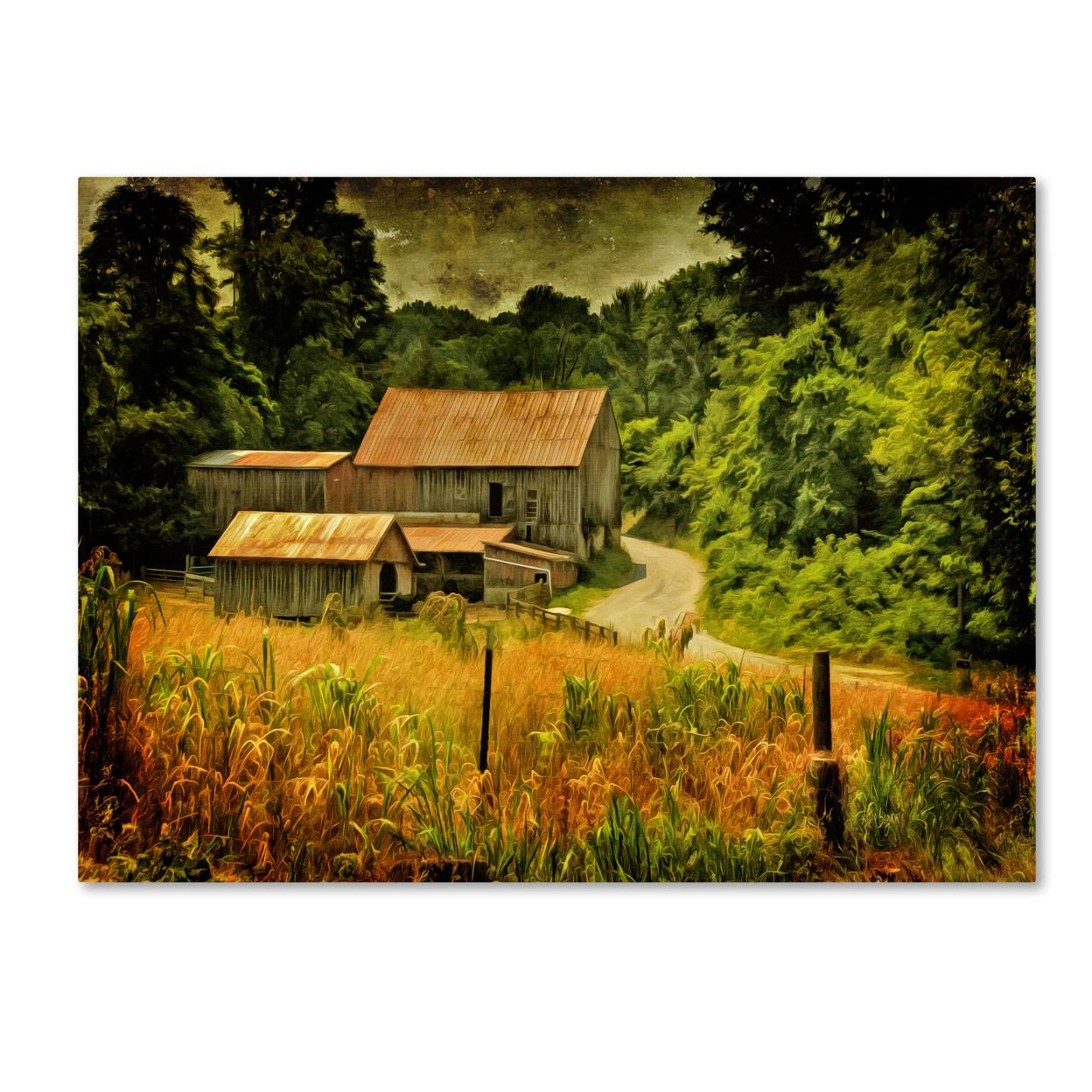 Lois Bryan 'Country Road In Summer' Canvas Art 16 X 24