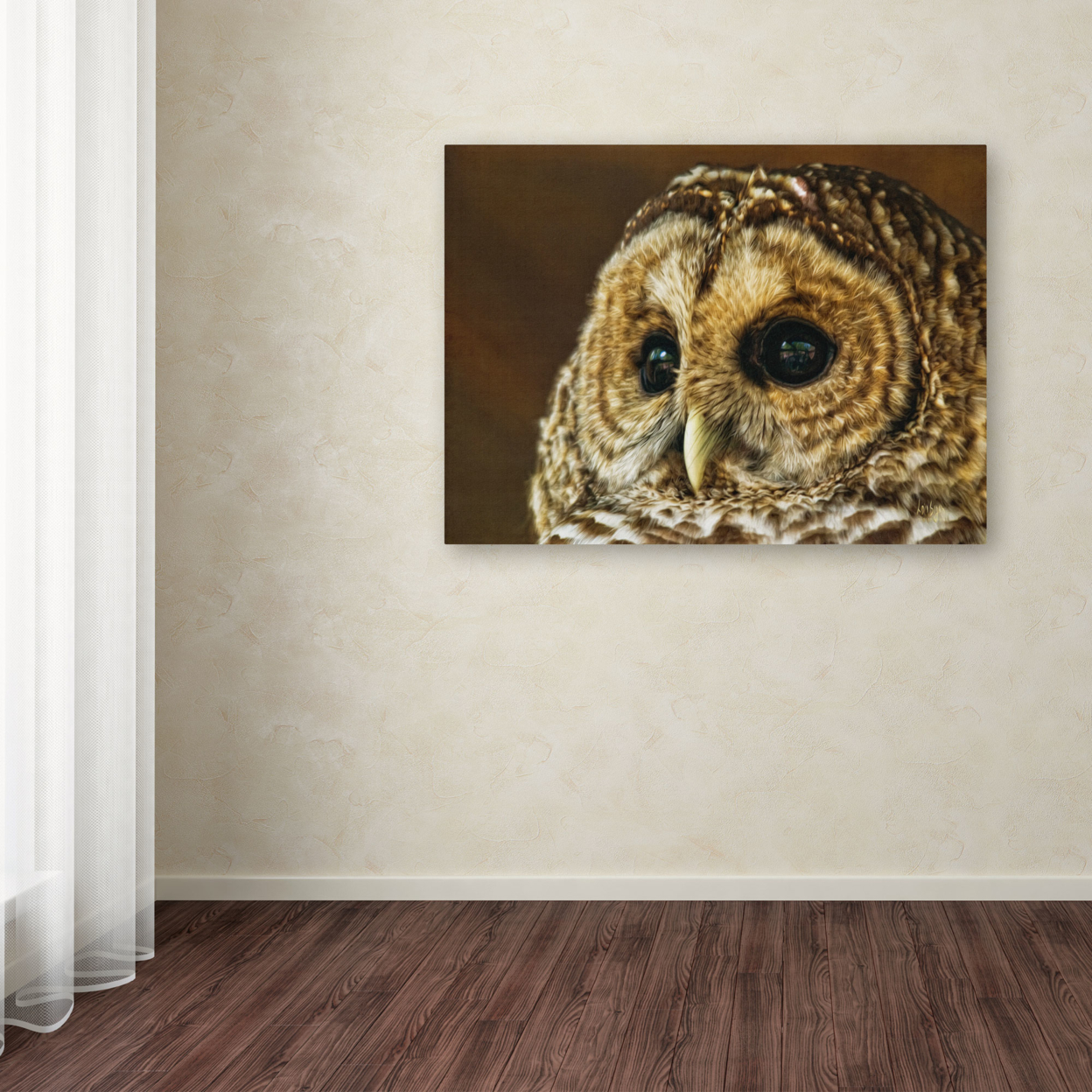 Lois Bryan 'Barred Owl Portrait' Canvas Art 16 X 24