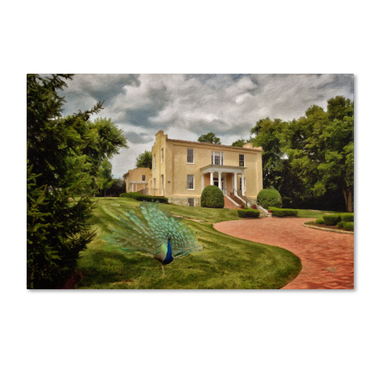 Lois Bryan 'A Peacock On The Lawn' Canvas Art 16 X 24