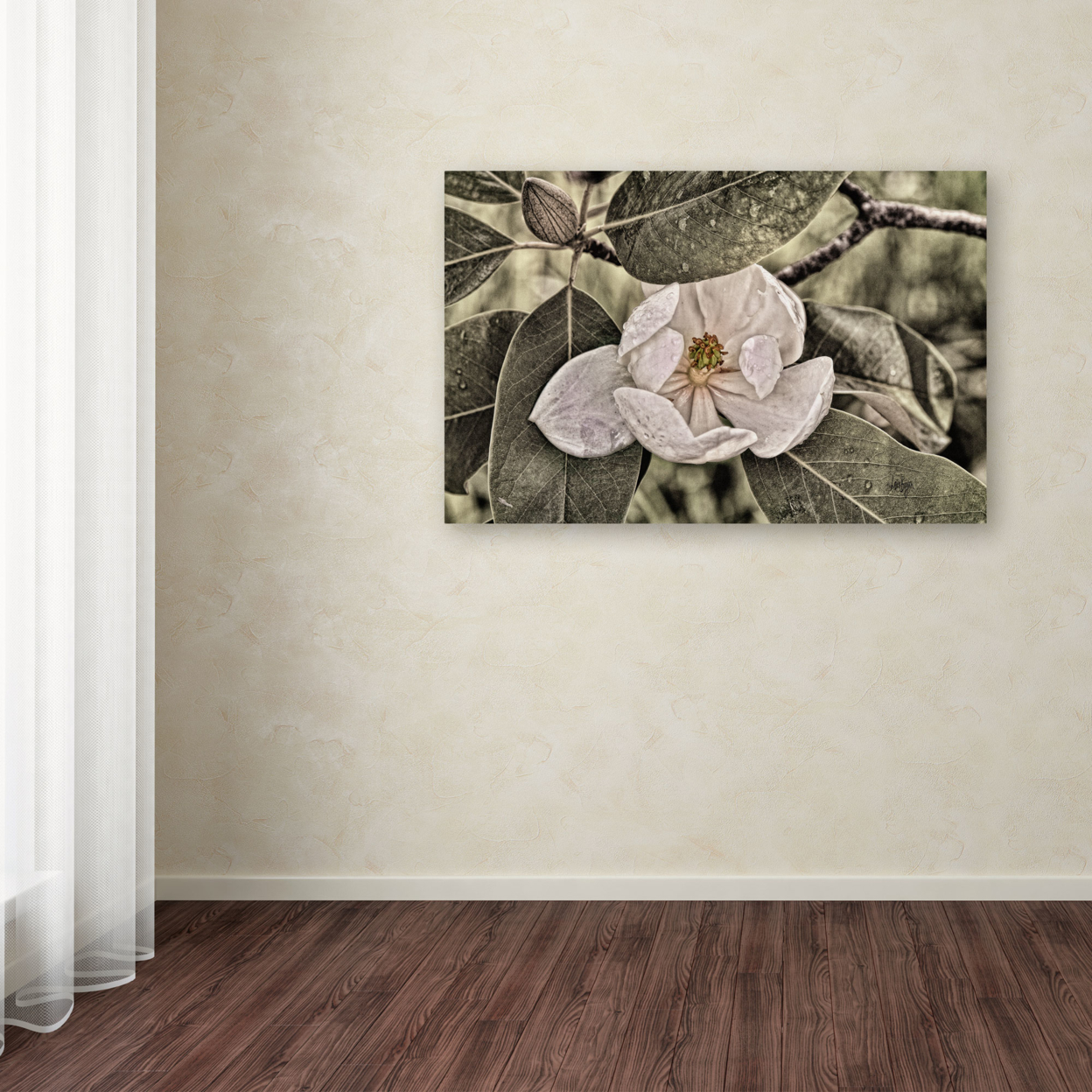 Lois Bryan 'White Magnolia' Canvas Art 16 X 24