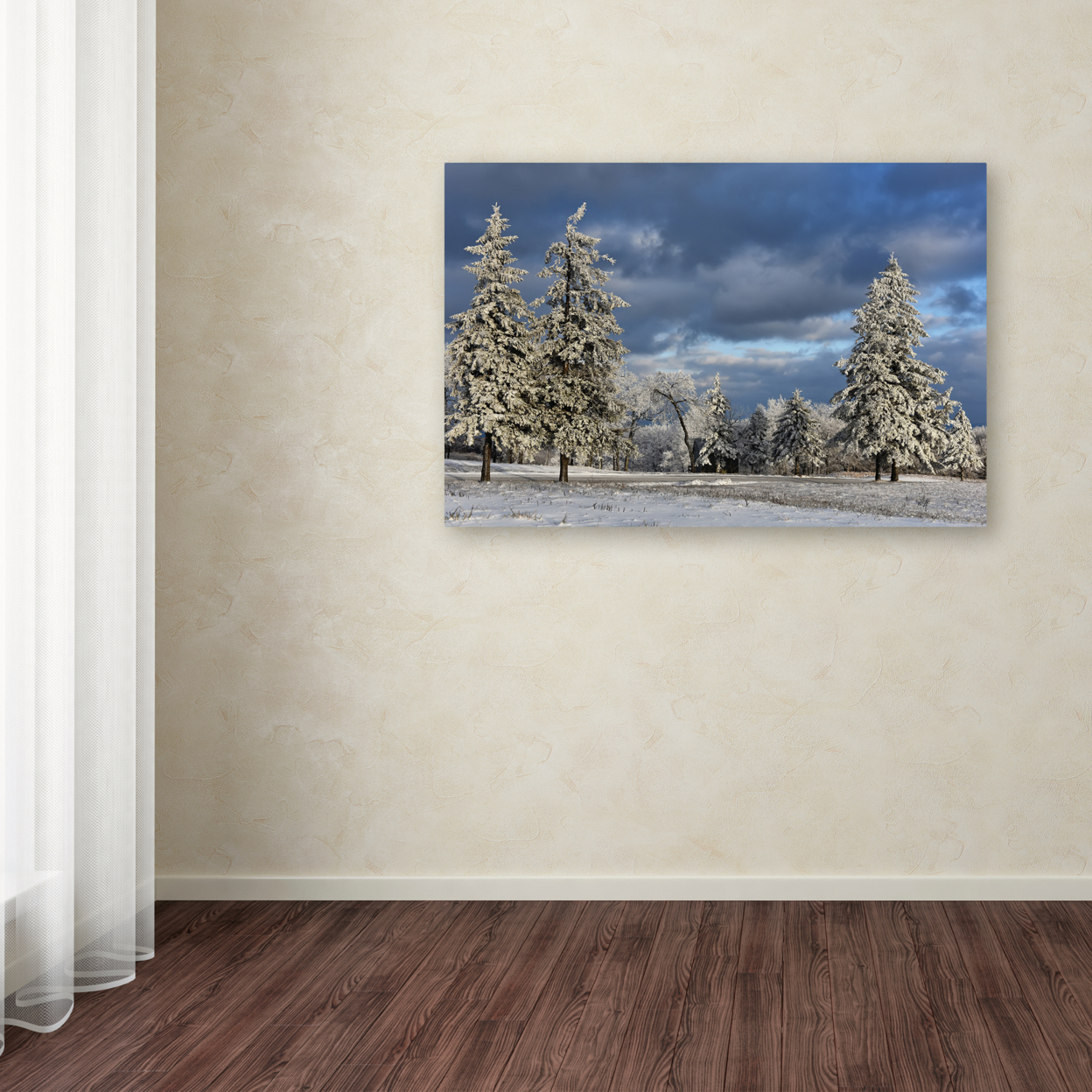 Lois Bryan 'First Snow Of The Year' Canvas Art 16 X 24