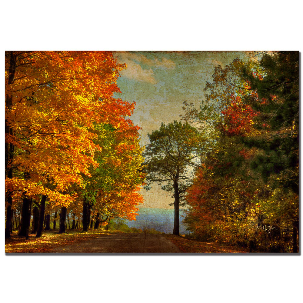 Lois Bryan 'Autumn On The Mountain' Canvas Art 16 X 24